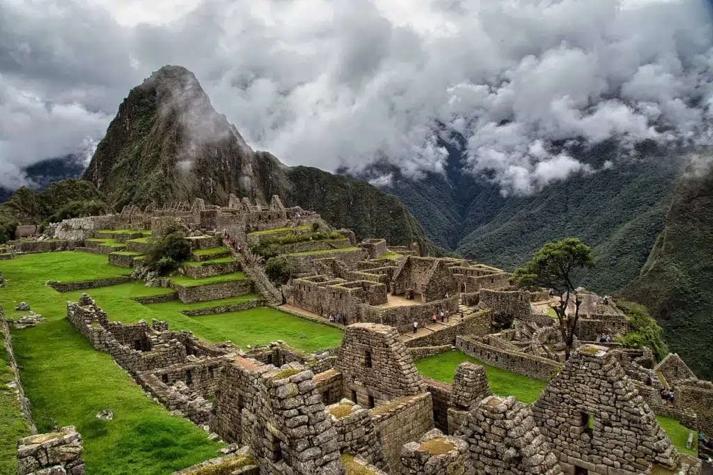 Inca Trail Terpenes: What Are They and Why Do They Matter?